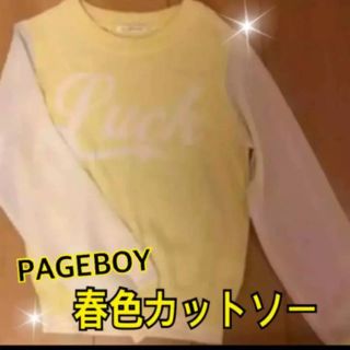 ページボーイ(PAGEBOY)のPAGEBOY❤️春色カットソー♫未使用 (カットソー(長袖/七分))