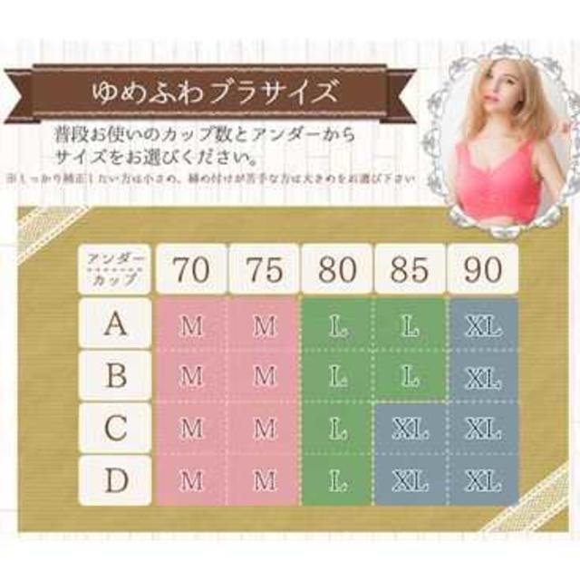 ナイトブラ育乳 スポーツブラ ナイトブラ新品 育乳 2枚セット  ナイトブラ レディースの下着/アンダーウェア(ブラ)の商品写真