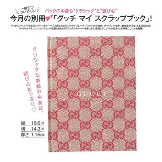 グッチ(Gucci)のBAILA 6月号 付録 GUCCI ノート(ファッション)