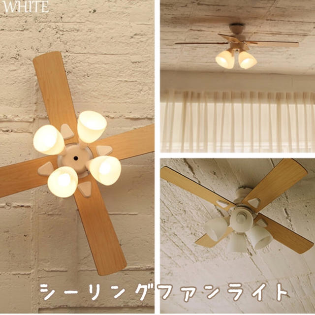 【限定価格セール！】 【新品】Windoubleシーリングファンライト(ホワイト) 天井照明