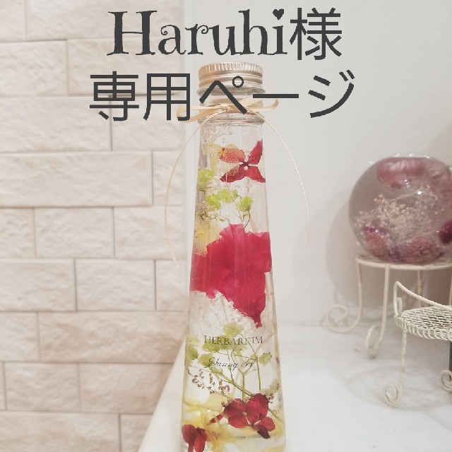Haruhi様 専用ページ インテリア/住まい/日用品のインテリア小物(置物)の商品写真