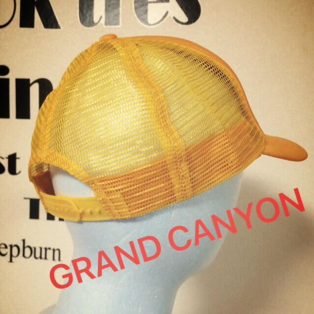 GDC(ジーディーシー)のGRAND CANYONグランドキャニオンGDCキャップ帽子adidas古着裏原 メンズの帽子(キャップ)の商品写真