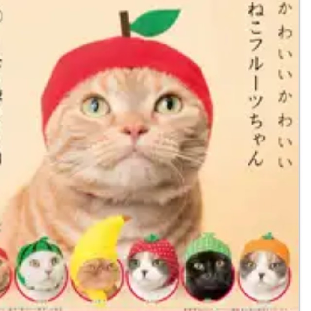 猫かぶりもの　スイカ その他のペット用品(猫)の商品写真