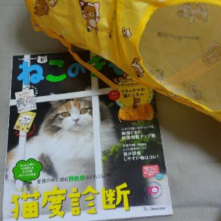 雑誌「ねこのきもち」2016年6月号　vol.133(猫)