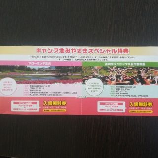 入場無料券(遊園地/テーマパーク)