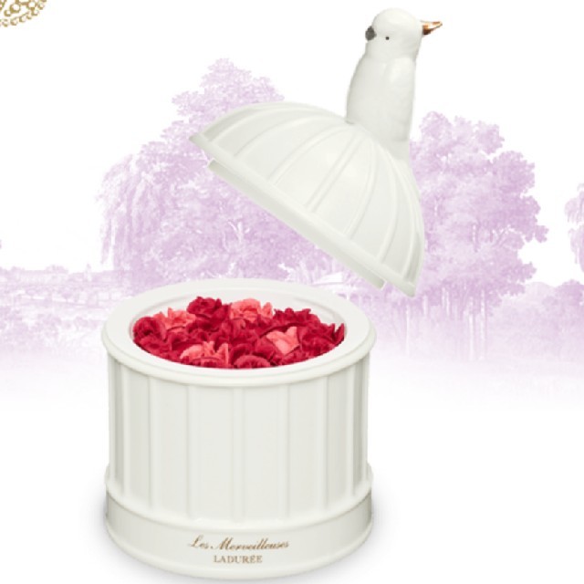 Les Merveilleuses LADUREE(レメルヴェイユーズラデュレ)の6th ANNIVERSARY ROSE LADURÉE コスメ/美容のベースメイク/化粧品(チーク)の商品写真