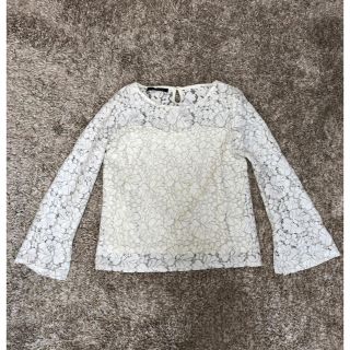 ページボーイ(PAGEBOY)のレースブラウス 美品 ページボーイ(シャツ/ブラウス(長袖/七分))