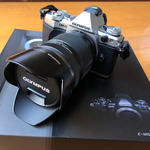 olympus OM-D EM-10 markⅡ 最終値下げ