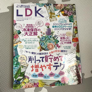 LDK(アート/エンタメ/ホビー)