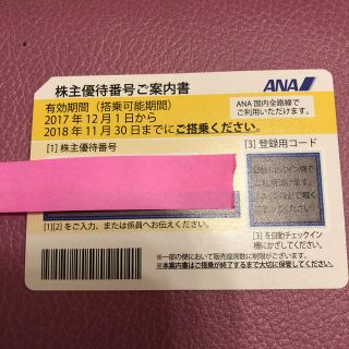 全日空 株主優待券 ANA(航空券)