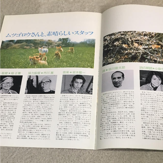 映画 子猫物語 エンタメ/ホビーのコレクション(印刷物)の商品写真