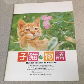 映画 子猫物語(印刷物)