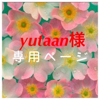 yutaan様専用ページ(チュニック)