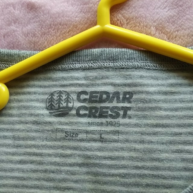 CEDAR CREST(セダークレスト)のボーダー T シャツ レディースのトップス(Tシャツ(半袖/袖なし))の商品写真