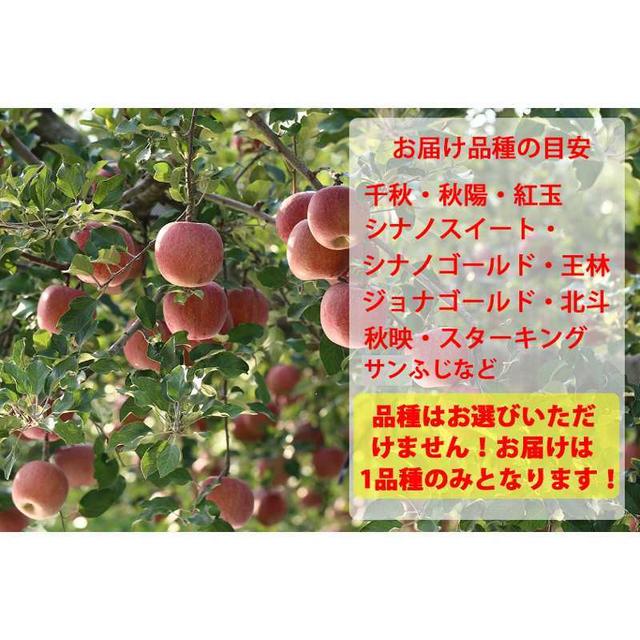 りんご　訳アリ　10kg　不揃い　農家 食品/飲料/酒の食品(フルーツ)の商品写真