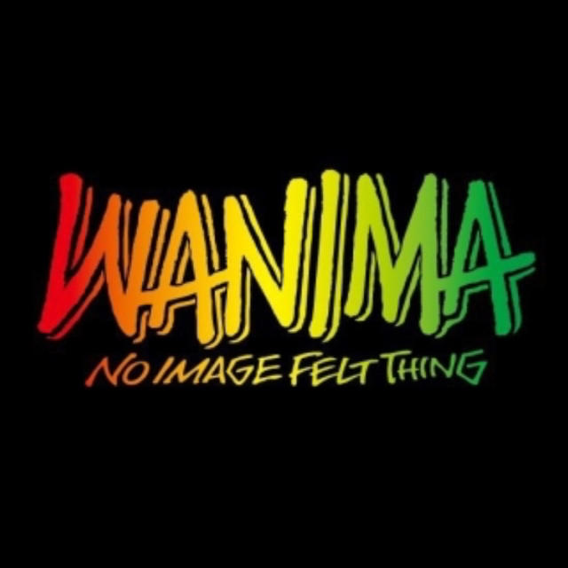 WANIMA(ワニマ)のWANIMA ワニマ ラスタtシャツ  新品未開封  サイズL エンタメ/ホビーのタレントグッズ(ミュージシャン)の商品写真