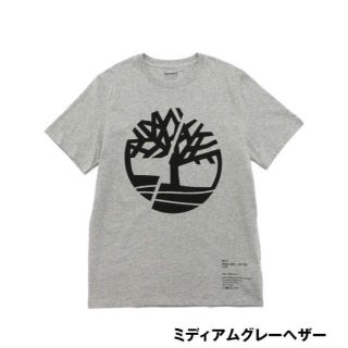 ティンバーランド(Timberland)のティンバーランド メンズ GIRI COLLECTION フロントロゴ ティー(Tシャツ/カットソー(半袖/袖なし))