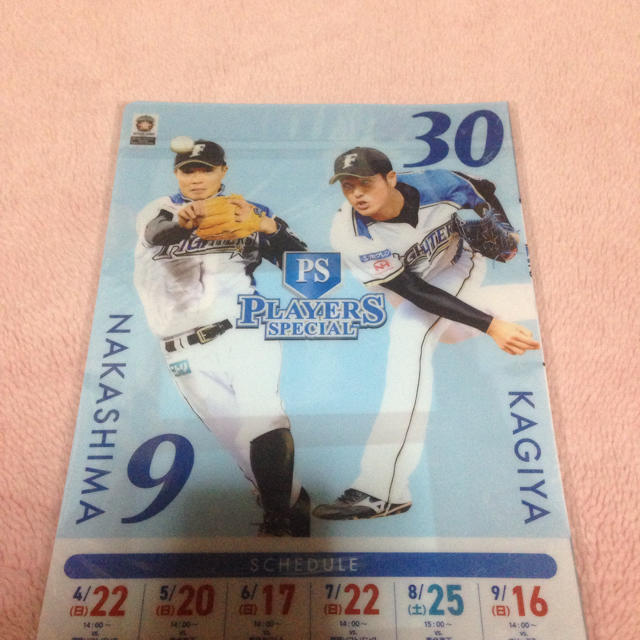 北海道日本ハムファイターズ(ホッカイドウニホンハムファイターズ)のファイターズ 記念ファイル 小 スポーツ/アウトドアの野球(記念品/関連グッズ)の商品写真