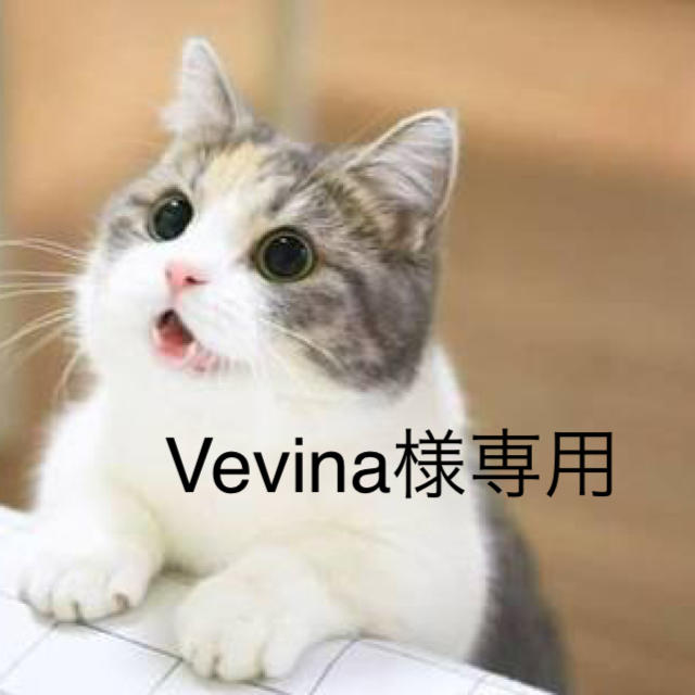Vevina様専用 レディースのトップス(Tシャツ(半袖/袖なし))の商品写真