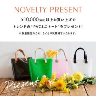 ヴィス(ViS)の専用(トートバッグ)