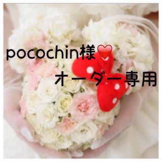 pocochin様❤️専用 特急！！ コスメ/美容のネイル(つけ爪/ネイルチップ)の商品写真