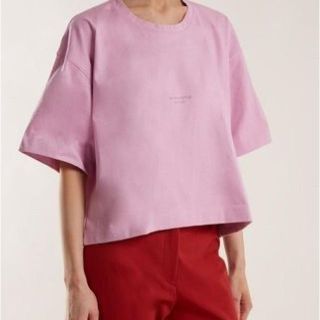 アクネ(ACNE)の☆riさま専用☆acne studios  Ｔシャツ  (Tシャツ(半袖/袖なし))