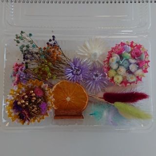 ❀ミル様専用です❀ハーバリウム　花材セット　(ドライフラワー)