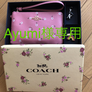 コーチ(COACH)の値下げ！コーチ 花柄ポーチ 新品Box付き(ポーチ)