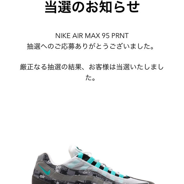 込み 26.5 NIKE AIR  MAX 95 PRNT atoms