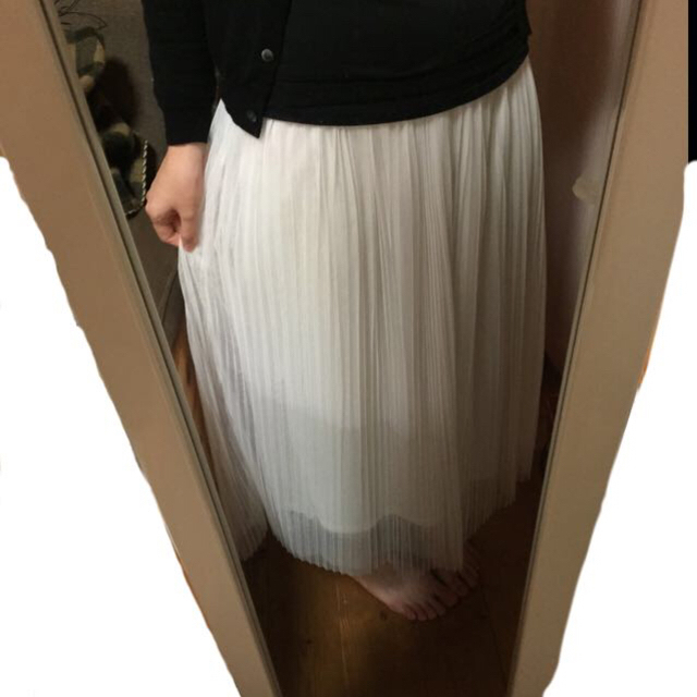 WEGO(ウィゴー)のWEGO チュールプリーツスカート レディースのスカート(ロングスカート)の商品写真