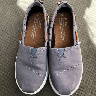 トムズ(TOMS)のTOMS  19cm グレー  スリッポン(スリッポン)