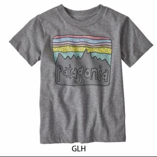 パタゴニア(patagonia)のhoco様 グレー5T パタゴニアTシャツ(Tシャツ/カットソー)