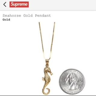 supsupreme 16AW seahorse gold pendant 14k