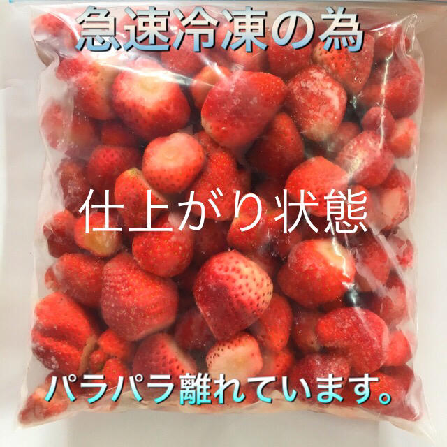 冷凍いちご 1kg   食品/飲料/酒の食品(フルーツ)の商品写真