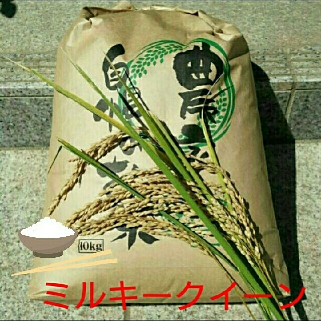 Mr.noodle様専用です(^-^)ミルキークイーン玄米10kg 食品/飲料/酒の食品(米/穀物)の商品写真