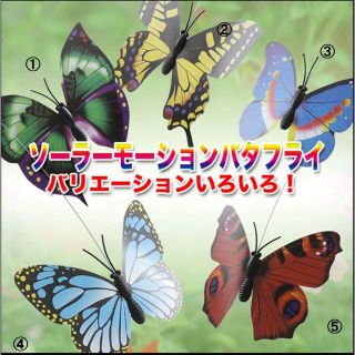 ソーラーモーションバタフライ（種類アソート）全5種類(置物)