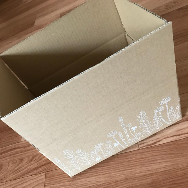 60サイズ 可愛いデザイン入り段ボールの通販 By Miho S Shop ラクマ