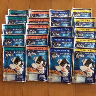 ネスレ(Nestle)のキャットフード20パック(ペットフード)