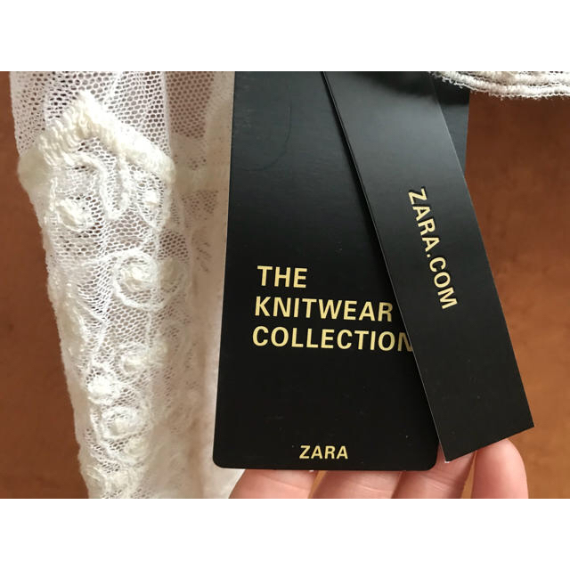 ZARA(ザラ)の♥️ ZARA シースルー 刺繍 レーストップス ♥️ レディースのトップス(シャツ/ブラウス(長袖/七分))の商品写真