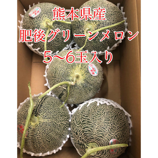 熊本県産 肥後グリーンメロン 5〜6玉 食品/飲料/酒の食品(フルーツ)の商品写真