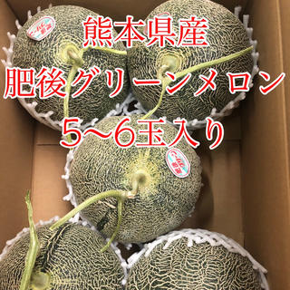 熊本県産 肥後グリーンメロン 5〜6玉(フルーツ)