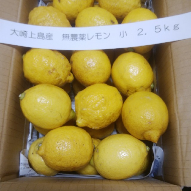 広島県大崎上島産　無農薬レモン　小2.5kg 食品/飲料/酒の食品(フルーツ)の商品写真