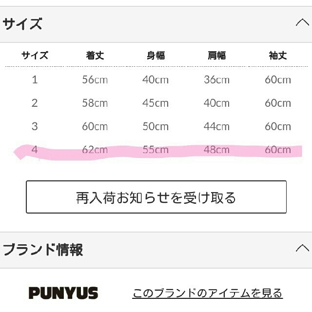 PUNYUS(プニュズ)のPUNYUS ♡レーストップス レディースのトップス(カットソー(長袖/七分))の商品写真