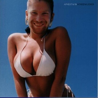 Aphex Twin ‎/ Windowlicker(ポップス/ロック(洋楽))
