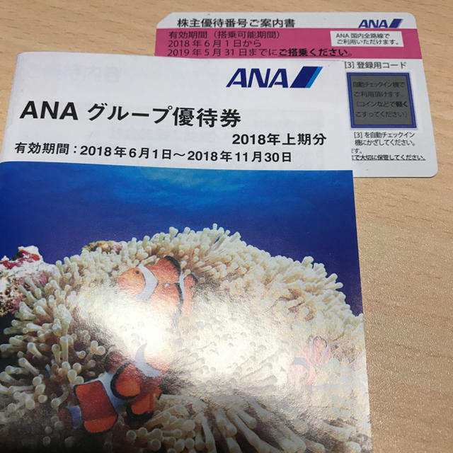 ANA(全日本空輸)(エーエヌエー(ゼンニッポンクウユ))のANA 株主優待券（搭乗半額券&グループ優待券） チケットの乗車券/交通券(航空券)の商品写真