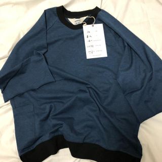 サンシー(SUNSEA)の新品 SUNSEA TREK's ASH RAGLAN T 3(Tシャツ/カットソー(半袖/袖なし))