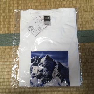 シュプリーム(Supreme)のXL supreme the north face mountain tee(Tシャツ/カットソー(半袖/袖なし))