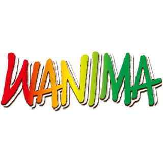 ワニマ(WANIMA)のWANIMA ロゴステッカー(ミュージシャン)