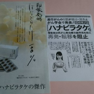 エナ様専用 新品 乳酸発酵 ハナビラタケ 100% 8箱セット