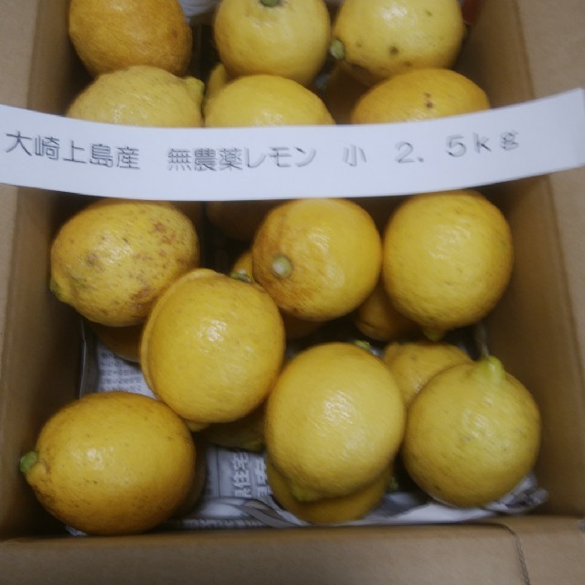 広島県大崎上島産　無農薬レモン　小2.5kg 食品/飲料/酒の食品(フルーツ)の商品写真